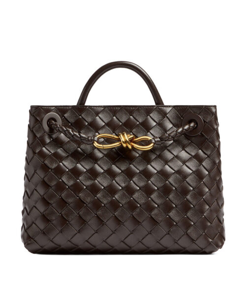 Bottega Veneta Small Andiamo